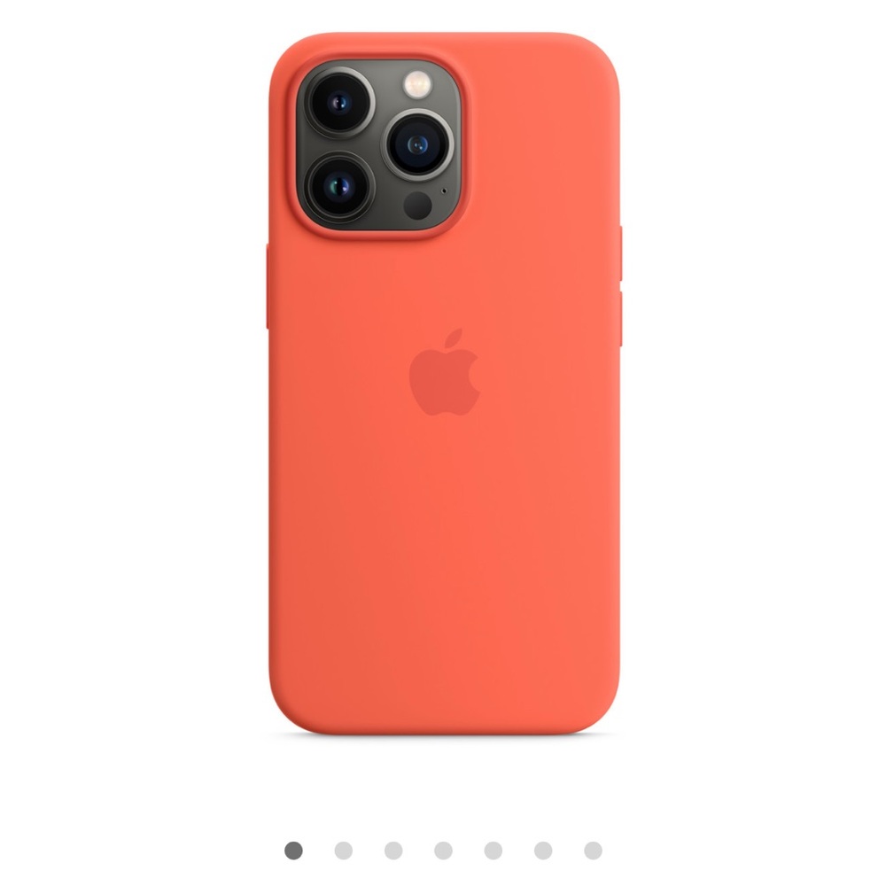 iPhone 13 Pro MagSafe case